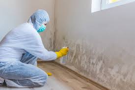 Best Environmental Consulting for Mold Prevention in USA